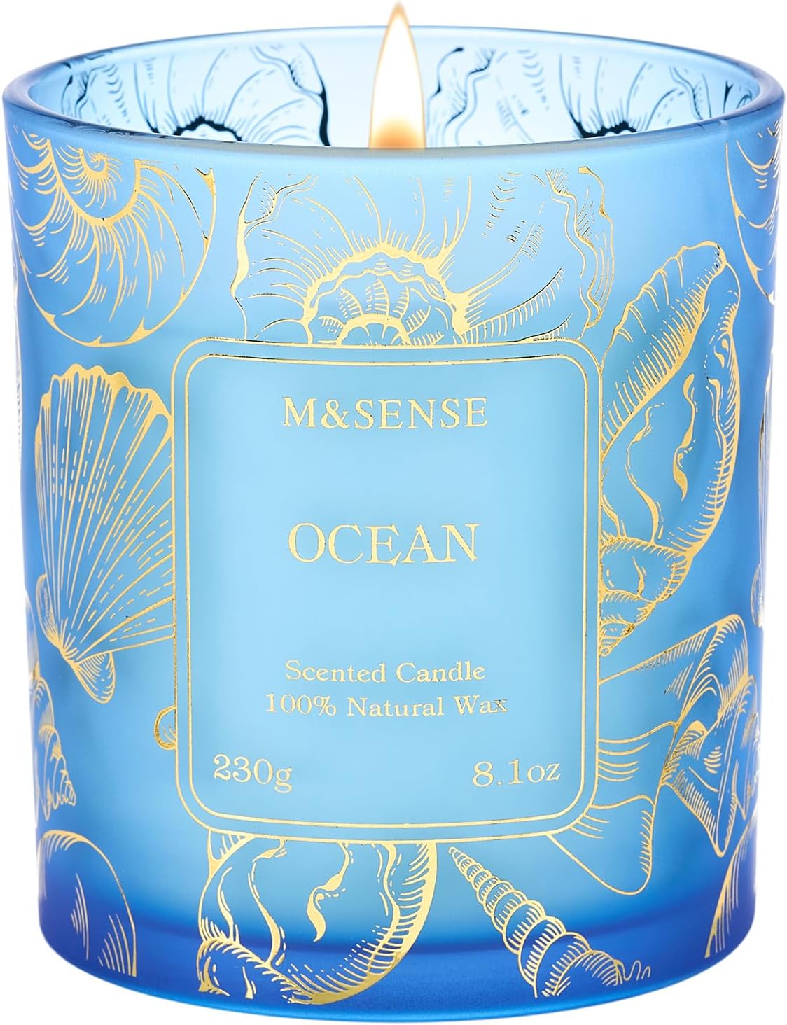 M&SENSE Meeresbrise Duftkerze 230g, Duftkerze im Glas für Frauen und Männer, Natürliche Vegane Sojakerze, Bis zu 42h Brenndauer, Aromatherapie Kerze für Zuhause, Schlafzimmer, Badezimmer [Energieklasse A+++]